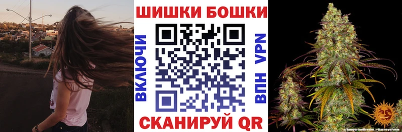 Где можно купить наркотики Оса блэк спрут ссылка  Альфа ПВП  ГАШИШ  Каннабис  АМФЕТАМИН  Меф мяу мяу  КОКАИН 