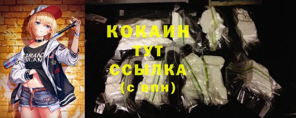 крисы Аркадак
