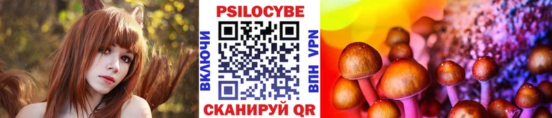 Галлюциногенные грибы мухоморы  hydra вход  Оса 